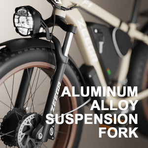 Vente en gros 48v 2000w Boombike vélo électrique gros pneu vélo électrique double moteur 26 pouces Ebike neige plage pour adultes - Product Image 4