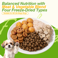 Croquettes pour chiens riches en protéines, complètes, à base de viande fraîche de faisan, lyophilisées, pour chiens adultes et chiots de petite, moyenne et grande taille, vente en gros