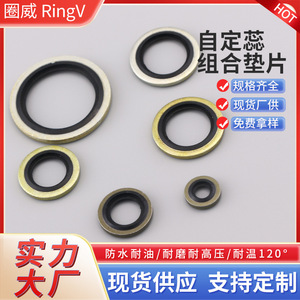 แหวนยางซีลแบบผสม RingV รุ่น Nb005 ซีลข้อต่อไฮดรอลิกแบบสองชั้น พร้อมข้อมูลจำเพาะครบถ้วน - Product Image 5