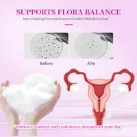 Mousse nettoyante intime à l'acide borique, marque privée, aux herbes naturelles, antibactérienne, équilibre du pH, élimine les odeurs, soulagement et nettoyage vaginal