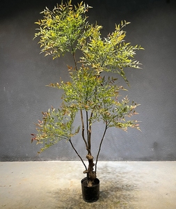 Plante artificielle les dernières plantes vertes artificielles et oliviers artificiels pour la décoration de la maison - Product Image 4
