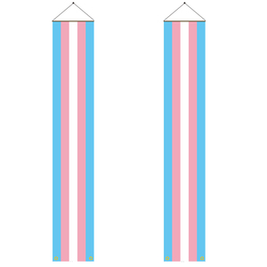 Дешевый пользовательский цифровой принт 60*90 см 2*3 фута трансгендерный флаг с двумя Люверсами - Product Image 4