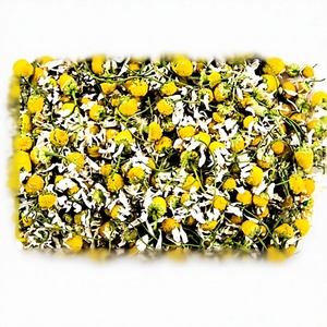 ดอกคาโมไมล์คุณภาพสูงแบบ OEM/ODM สำหรับการผลิตจำนวนมากในโรงงาน - Product Image 2