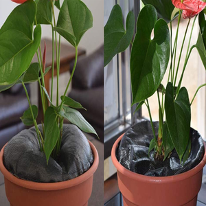 Cây tưới nước Vòng sâu gốc cây tưới nước túi nước Pouch PVC chậm phát hành tưới nước túi cho trồng làm vườn cây - Product Image 6