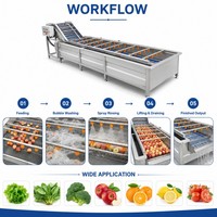 Hoge-efficiëntie belletjeswasmachine voor fruit en groenten |   Milieuvriendelijk & aanpasbaar
