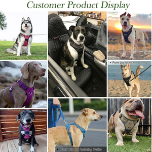 Set Personalizzato di Imbracatura e Guinzaglio per <span class=keywords><strong>Cani</strong></span> Resistente e Senza Strappi, con Sacchetto Porta Premietti, Produttore di Imbracature per Animali con Logo Personalizzato - Product Image 4