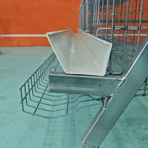 Diseño <span class=keywords><strong>de</strong></span> Granja Avícola, Jaulas para Pollos, Gallineros <span class=keywords><strong>de</strong></span> Baterías para Gallinas Ponedoras, Jaulas <span class=keywords><strong>de</strong></span> Cría para Gallinas Ponedoras en Venta en Argelia - Product Image 3