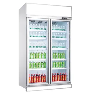 Refrigerador vertical comercial de 2 puertas para supermercado, vitrina de vidrio para bebidas, refrigerador de tienda al por menor