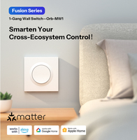 SONOFF MINIR4M-E Matter WiFi Smart Wall Switch Kontrol Aplikasi, Kontrol Suara, Google Home, Alexa, Cocok untuk Rumah