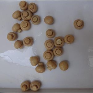Tươi Và Bảo Quản Toàn Bộ Slice Ăn Mô Hình Đóng Hộ<span class=keywords><strong>p</strong></span> Nút <span class=keywords><strong>Champignon</strong></span> Nấm Rau Với Halal Kosher Brc Giấy Chứng Nhận - Product Image 5