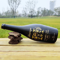 Bouteilles de champagne RSG en gros, dorées, imprimées, vides, 375 ml, 187 ml, 500 ml, givrées, noires mates, dorées, 700 ml, gonflables, 750 ml, colorées