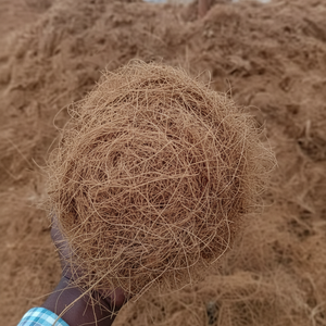 Fibre de noix de coco naturelle de haute qualité pour matelas brosses cordes tapis de culture paillis fibre de coco vente en gros de l'Inde - Product Image 1