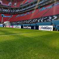 Pantalla LED Portátil para Campos de Fútbol RAYBO, Alta Definición, Resistente a Impactos IP66, Pantalla Publicitaria LED P6 para Estadios