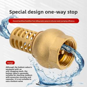 Bomba <span class=keywords><strong>de</strong></span> <span class=keywords><strong>agua</strong></span> <span class=keywords><strong>de</strong></span> latón autocebante Válvula <span class=keywords><strong>de</strong></span> retención Pagoda <span class=keywords><strong>de</strong></span> cobre <span class=keywords><strong>Filtro</strong></span> <span class=keywords><strong>de</strong></span> <span class=keywords><strong>entrada</strong></span> <span class=keywords><strong>de</strong></span> resorte antirreflujo para bombas <span class=keywords><strong>de</strong></span> <span class=keywords><strong>agua</strong></span> - Product Image 3
