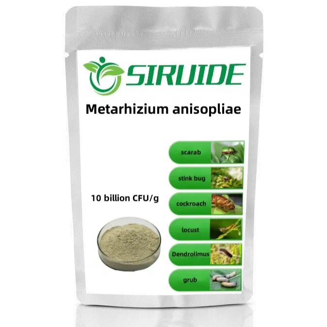Fertilizzante microbico 10 miliardi di CFU/g Metarhizium anisopliae trade