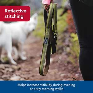 Coastal K9 Explorer perro reflectante con tijera Snap correa de nailon duradera correas y cachorros suministros para mascotas para perros-fogata - Product Image 3