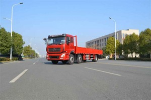 รถดัมพ์บรรทุกขนาด30ตันขับเคลื่อน6All 6ล้อปรับแต่งได้รถดัมพ์คนซาอุดิอาระเบีย - Product Image 6