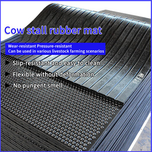 Dalles en <span class=keywords><strong>caoutchouc</strong></span> antidérapantes, résistantes à l'usure et au vieillissement, pour étables à vaches, vente directe Duonik - Product Image 3