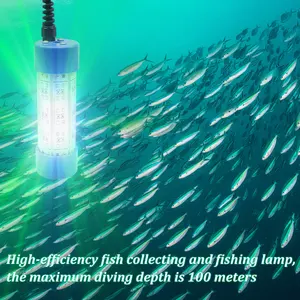 Memancing bawah air Hijau Merah Biru Kuning Putih 30W 100W 200W 300W 400W 500W-6000W 100w lampu led untuk ikan dalam memancing lampu