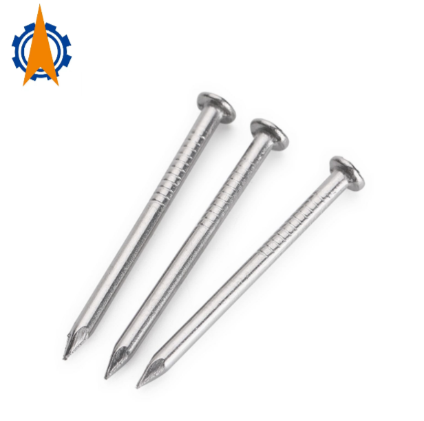 Stainless Steel Cheap Wire Nail Construction