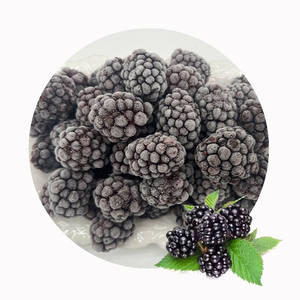 Mûres surgelées XMSD, best-seller |   Fruits surgelés de qualité supérieure pour les fabricants de boissons, les marques de smoothies et les marchés d'exportation - Product Image 6