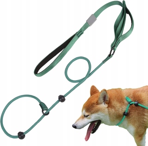 कस्टम 2 में 1 नायलॉन पालतू कुत्ते पट्टा पर्ची रस्सी लीड एडजस्टेबल लूप ट्रेनिंग स्लिप कुत्तों के लिए नरम हैंडल के साथ 170 सेमी लीड - Product Image 1