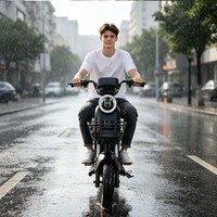 Vente directe d'usine. Moteur de vélo électrique haute vitesse 48V 800W. Capteur numérique. Vélo à pédales à batterie au plomb. Mini vélo électrique urbain pour femmes