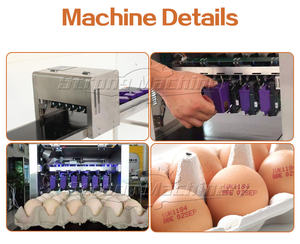 Machine d'impression à jet d'encre machine d'impression de marquage d'oeuf estampage de date d'oeuf - Product Image 2