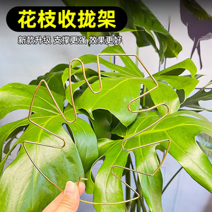 Plant Support <b>Rod</b> For Monstera Deliciosa <b>Plastic</b> Coated Garden Use Simple Style Plant Protection Device - Product Image 3