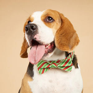 Nuevo Collar para mascotas con lazo para perros - Product Image 2