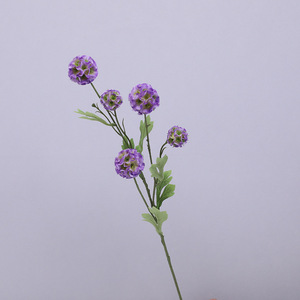 Semilla <span class=keywords><strong>de</strong></span> flores, hierba <span class=keywords><strong>de</strong></span> Pampa <span class=keywords><strong>de</strong></span> seda Artificial, decoración <span class=keywords><strong>de</strong></span> salón <span class=keywords><strong>de</strong></span> mesa <span class=keywords><strong>de</strong></span> 5 cabezas, estilo moderno hecho a mano, venta al por mayor <span class=keywords><strong>de</strong></span> fábrica - Product Image 1
