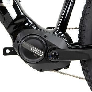 Bicicleta Eléctrica Económica para Adultos con Motor de 48V250W de Transmisión Media y 10 Velocidades, la <span class=keywords><strong>Mejor</strong></span> Oferta en Venta - Product Image 6