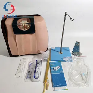 Medical Model Epidural Anesthesia Lumbar Puncture Training Simulator