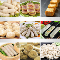 Extracteur de viande de poisson électrique automatique, broyeur d'os, conception multifonctionnelle, machine à fabriquer des produits carnés, nouvelle génération, dégraissante d'os