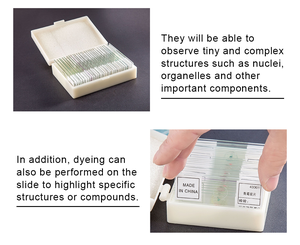 Lot de 100 lames de <span class=keywords><strong>microscope</strong></span> préparées avec échantillons pour enfants et adultes, avec couvercles, pour usage en laboratoire médical au niveau du collège - Product Image 4