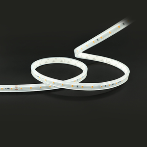 Bande LED flexible 48V à luminosité constante, ruban LED longue portée pour l'éclairage architectural - Product Image 4
