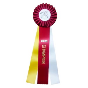 Compre Rosetas de Premio Grandes de 3 Capas Personalizadas de Alta Calidad HLC, Rosetas Hechas a Mano para Exposiciones Ecuestres, Rosetas de Satén, Flores Decorativas - Product Image 2