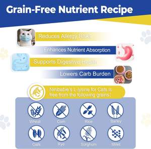 Gel nutritionnel certifié GMP pour le soutien de la vessie des animaux de compagnie, avec canneberge, racine de guimauve biologique pour aider à la santé des voies urinaires - Product Image 6