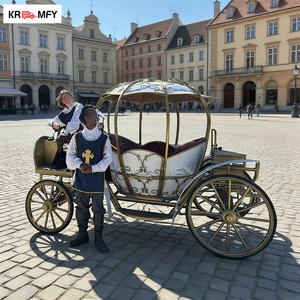 Charrette royale électrique sans chevaux de luxe au design victorien avec cadre en fer, couleur personnalisée, 150-250 CV, pour mariages et tourisme - Product Image 3