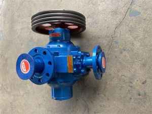 Pompa a palette da 3 pollici per trasferimento GPL, pompa a palette per controllo gas ad alta <span class=keywords><strong>pressione</strong></span> 11kW con motore, macchina di riempimento GPL - Product Image 4