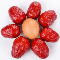 Jujubes rouges séchées de haute qualité, standard export, tailles variées, traitées à l'eau AD, en vrac, emballées sous vide, pour le thé et les collations