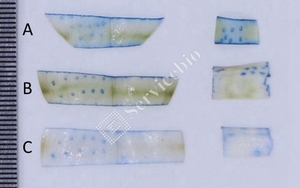10ML高純度Servicebioブランド細胞生存性テスト生きている細胞染色を数える細胞染色液のためのトリパンブルーステイン - Product Image 4