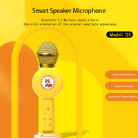 Microphone sans fil professionnel éducatif pour filles et enfants avec connecteur Type C - Jouet musical portable rechargeable