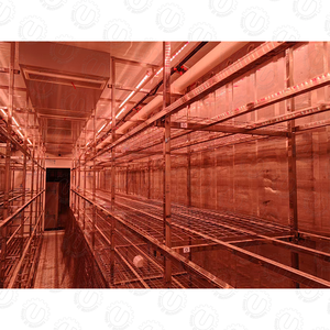 Contenedor de cultivo de setas, contenedor hidropónico de 40 pies, contenedor de cultivo de setas, sala de crecimiento de hongos - Product Image 5