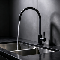 Robinet de cuisine moderne noir mat en acier inoxydable 304, accessoires de purificateur d'eau, robinet d'eau à 1 voie, robinet d'eau RO certifié NSF