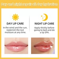 Brillo de labios vegano orgánico de 4 colores, resistente al agua, esmalte de labios mágico, etiquetado bonito, 5ml, bálsamo labial hidratante de frutas para maquillaje de belleza
