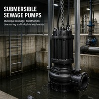 Pompe à eaux usées en acier inoxydable 1/2 CV avec éjecteur et interrupteur à flotteur pour drainage de sous-sol CE