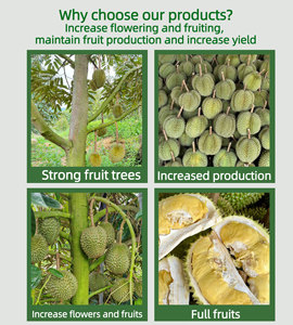 Hochergiebige NPK-Nährlösung für Durian – Schnellwachsender Bodendünger zur Fruchtvergrößerung, flüssig, schnell freisetzend, <span class=keywords><strong>Rosia</strong></span> - Product Image 4