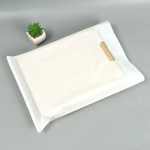 Wholesale High Quality Die Cut Handle Eco Friendly Custom Design Shopping <b>Package</b> Plastic <b>Bag</b> - Product Image 3