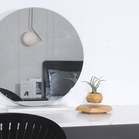 Approvisionnement d'usine Air Bonsaï Pot Mini Modèle En Plastique Cycas Revoluta Lévitation Magnétique Flottant Fleur Arbre Pas Cher Plantes De Bois Vivantes